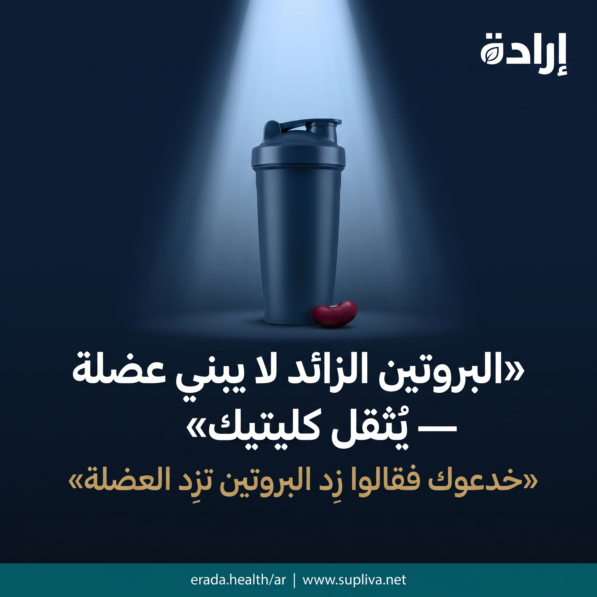 خدعوك فقالوا: البروتين الزائد يتحوّل كله لعضلات